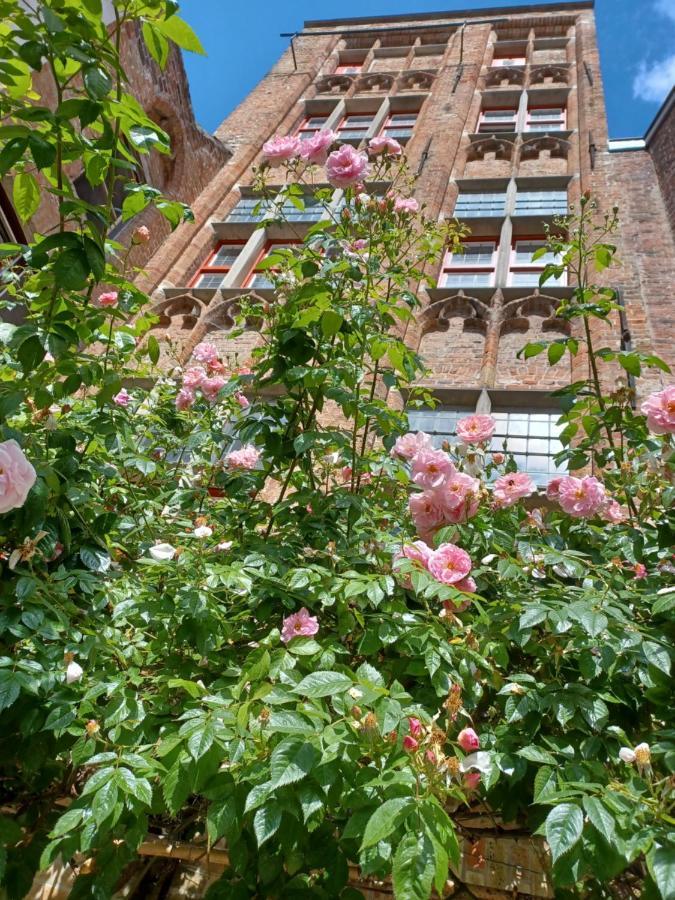 De Zomere B&B Brügge Exterior foto